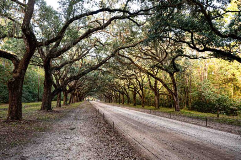 Best Things to Do in Savannah GA: Top Attractions & Hidden Gems Best Things to Do in Savannah GA