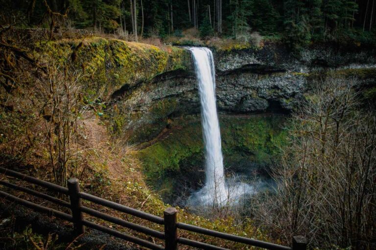 Silver Falls State Park: Complete Guide to Oregon’s Waterfall Wonderland silver falls state park